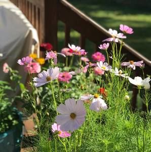 Meet your Posher, Shi